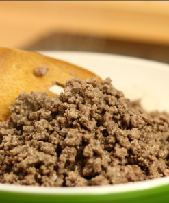 Ground Bison