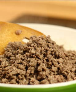Ground Bison